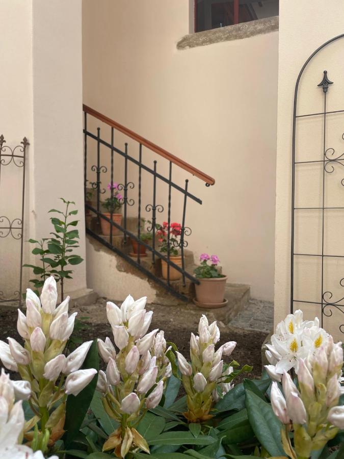 Historical Zaffir House - Market Square Levoča Extérieur photo